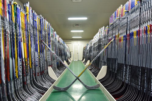 干實體 看桐企︱波力科技 打造特色觀光工廠，推動產業融合發展