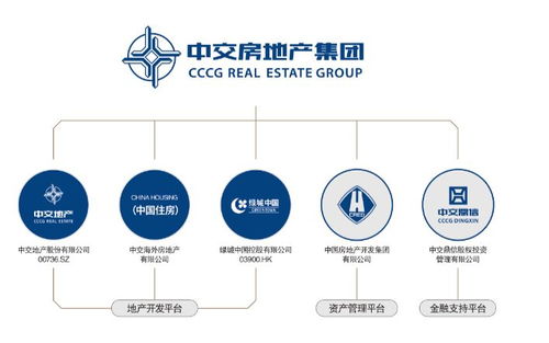 精益化產品體系與網絡技術開發 構筑央企地產未來發展根基的雙引擎