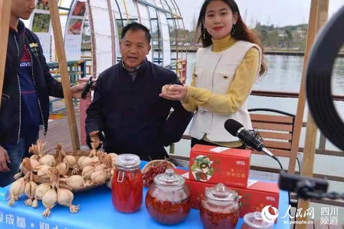 智囊論道公園社區，雙流黃水鎮打造宜業宜居新典范